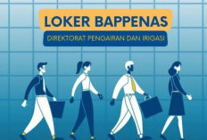 Kementerian PPN Bappenas Buka Lowongan Kerja Besar-Besaran, Cek  Jadwal, Link dan Syarat Pendaftaran 