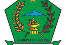 Mobil Ambulans Angkut   Pupuk di Lebong Ditarik 