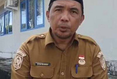 Rekrutmen Ribuan Awak Kapal Dibuka, DKP Provinsi Bengkulu Siap Bantu Pendaftar