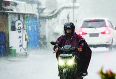 Waspada Longsor dan Banjir, Curah Hujan Meningkat hingga Februari 2025