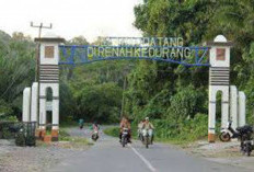 Kedurang Bakal Disulap Jadi  Kawasan Food Estate Terpadu, Begini Penjelasan Wakil Bupati Yevri