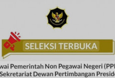 Ini Cara Mendaftar  Seleksi Pegawai Pemerintah Non-Pegawai Negeri  di Wantimpres