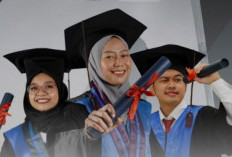 Beasiswa Non Gelar Microcerdential STEM untuk Guru SD & SMP Dibuka, Ini Syarat dan Pendaftarannya 