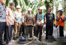Budayakan Hidup Bersih dan Sehat, Bangun Tangki Septik Skala Individual Perkotaan untuk 272 KK di Teluk Sepang
