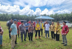  Sekolah Rakyat di Mukomuko   Tahap Pematangan Lahan