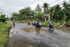 Warga Desa Karang Anyar II Harap   Pemerintah segera Perbaiki Jalan Rusak