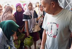 Harga LPG 3 Kg Sempat Tembus Rp 50 Ribu, Disdag Turun Sidak Libatkan Polisi dan TNI