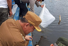 Tebar 33 Ribu Benih Ikan Nilem, Lima Tebat Jadi Lokasi Percobaan Pengembangan Ekowisata