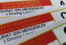 Resmi Berlaku, Buat Sim Wajib Tunjukan Kepesertaan BPJS Kesehatan, Berikut Syarat Lengkapnya 