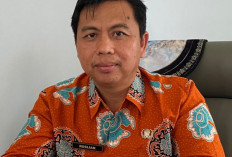 1.433 Kasus Suspect DBD di Provinsi Bengkulu, Kabupaten Rejang Lebong Tertinggi