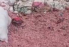 Beredar Video, Cacahan Uang Bercampur Sampah di Bekasi Jadi Sorotan Publik, Ini Penjelasan Bank Indonesia 