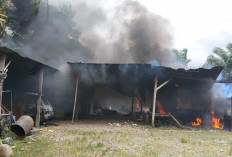 Usai Bakar Mobil, Massa Bakar Gudang Bengkel Milik Oknum Polisi, Diduga Dipicu Kasus Pencurian Sawit