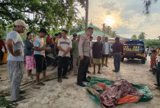 Geger,  Mayat Pria Berusia 60 Tahun Ditemukan di Pantai Merpas