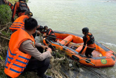 Libatkan Orang Pintar,   Petani Kaur Belum Ditemukan