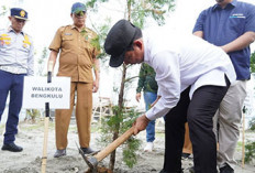 Penanaman Pohon Serentak, Walikota Tegaskan Ini Upaya Mitigasi Bencana Pesisir
