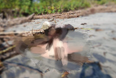 BREAKING NEWS:Warga Desa Pasar Seluma Temukan Mayat Seorang Perempuan di Muara Pantai