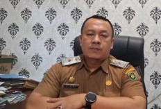 MAPALA Perjuangkan Pelebaran   Jalur Ulu Manna-Sumsel, 3 Kepala Daerah segera Audiensi ke Pusat.