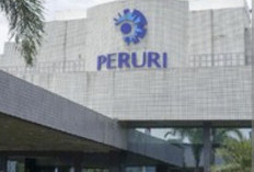 BUMN Resmi Buka Lowongan Magang MAGENTA, Terbuka untuk  Fresh Graduate