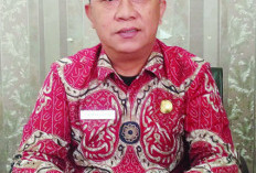Usulan NIP PPPK, Tak Penuhi Syarat, Ini Keterangan Kepala Badan Kepegawaian Daerah Provinsi Bengkulu