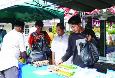 Disperindag-BPOM Segera Gelar Pasar Murah,  Ini Keterangan Kepala Disdepagrin Kota Bengkulu
