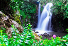 Obyek Wisata, Ada 8 Air Terjun di Dalam Kota Curup, Ini Daftarnya