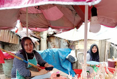 Harga Ayam Potong Melonjak, Segini Sekarang