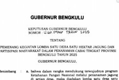 Lomba 1 Desa 1 Hektar Jagung (Sadesahe) di Provinsi Bengkulu, Ini Daftar Pemenangnya