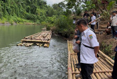 Gayung Disambut, Ikan Larangan Mulai Jadi Icon Wisata Seluma
