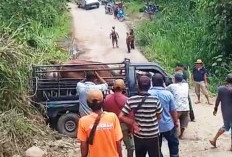  Kerusakan Jalan Provinsi   di Lebong Telan Korban 