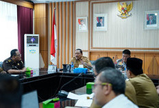 Satgasus Bakal Datangi Perusahaan Menunggak Pajak, Begini Pernyataan Wagub dan Waka Polda Bengkulu