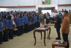 Penantian Panjang jadi ASN, Honor 8 Tahun, Berakhir dengan Senyuman