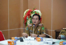 Waspada Penyakit Kencing Tikus, Rentan Mewabah Saat Musim Hujan