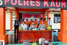 Ops Musang Nala, Polres   Kaur Ringkus 14 Bandit