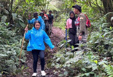 Panorama Alam Bukit Hitam Kepahiang Indah, Jadi Serbuan Wisatawan, Ini Keunggulannya