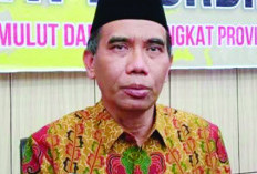 Ajak Petani Sawit Beternak Sapi, Ini Pernyataan Kepala Dinas Peternakan dan Kesehatan Hewan Provinsi Bengkulu