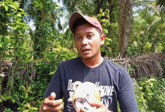 Lesehan di WAS Diserbu Warga, Agus : Jangan Saya Saja yang Ditutup