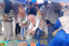   Pangan Segar Aman dari Zat Berbahaya, Hasil Pengecekan BPOM Bengkulu ke Pasar Panorama 