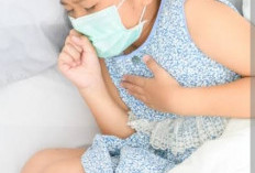 Ditemukan 6 Kasus Mycoplasma Pneumonia di Jakarta, Ini Gejalanya