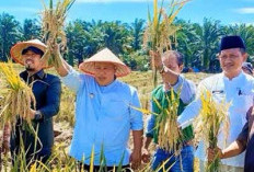 Berbenah dan Bergerak Bersama, Pemkab Mukomuko Wujudkan Kemandirian Pangan