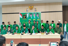  DPC PPP dari 5 Kabupaten/Kota Meradang, Dualisme DPP Disorot Jelang Muswil X 