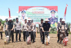Gubernur Bengkulu Perkuat Ketahanan Pangan Nasional, Desa Tanah Hitam Sabet Hadiah Rp1 M dari Lomba Sadesahe