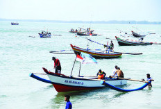 DKP Terima 500 Kartu Nelayan, Hasil Kerjasama DKP Bengkulu dengan Bank Ini 