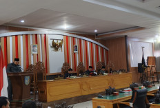 RPJMD Harus Selaras dengan Visi Misi Bupati BU, Dewan BU Hamdani Beberkan Alasannya 