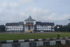 Pemkab Mukomuko Berencana Pengangkatan   PPPK Paruh Waktu, Begini Kreterianya