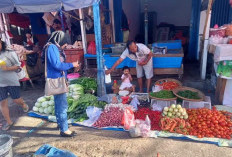 Operasi Pasar Kendalikan Harga Cabai, Ini Penjelasan Kabid Pengembangan Perdagangan Disperdagrin Kota Bengkulu