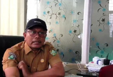  Korban Gigitan HPR di Lebong Capai 93 Orang