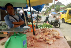 Jelang Ramadan, Harga Ayam Naik 