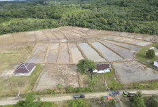 Program Cetak Sawah di Enggano  Mulai Masuk Tahap Land Clearing, Segini Luas Lahannya