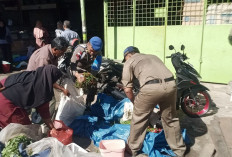 Pemkot Bengkulu Bertindak Tegas, PKL Melanggar di Pasar Panorama Ditertibkan