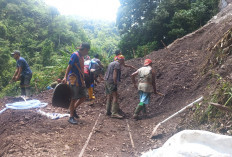 BPBD Pastikan Stok Sembako Aman, Fokus Bersihkan Material Longsor di Lebong Tandai